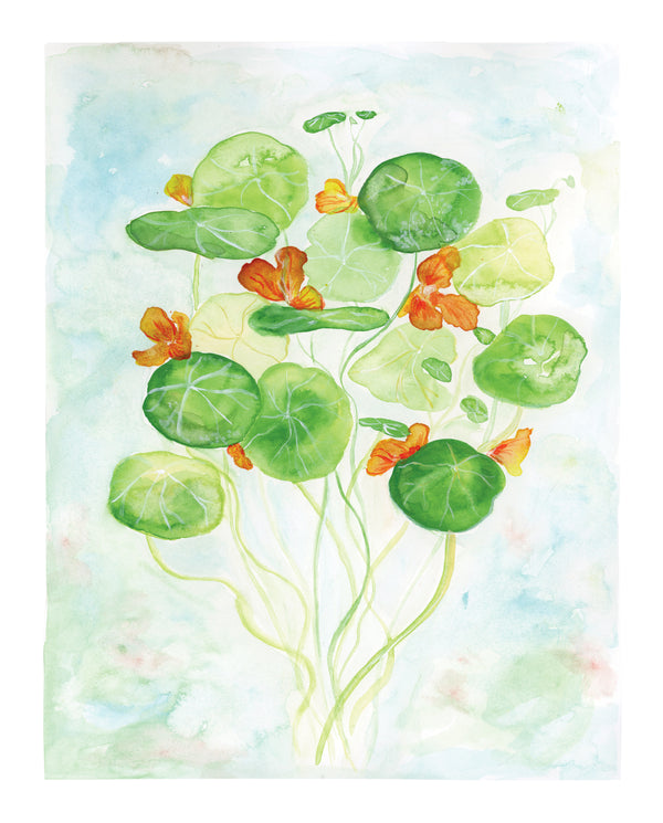 Nasturtium Bouquet Print