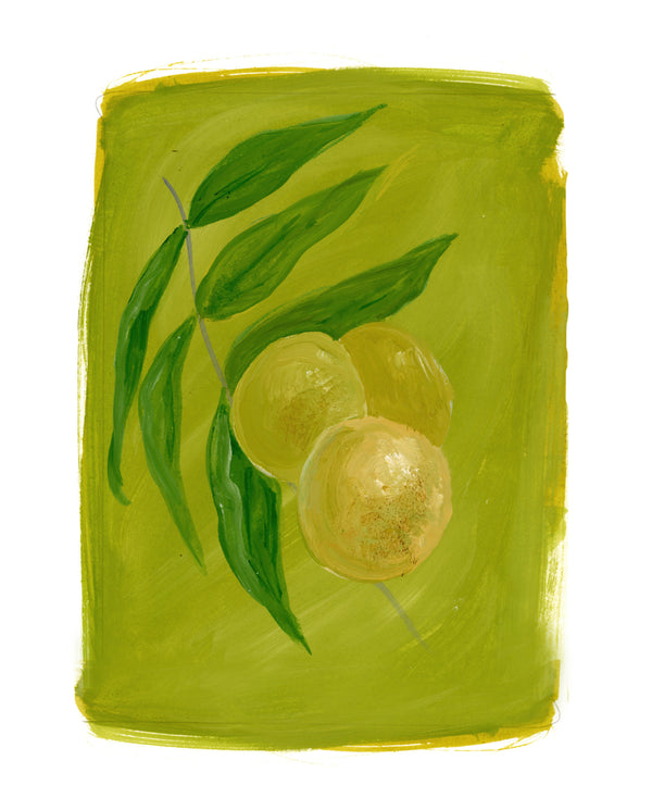 Black Walnuts Print