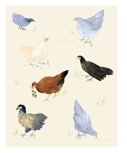 Cottage Chickens II Print