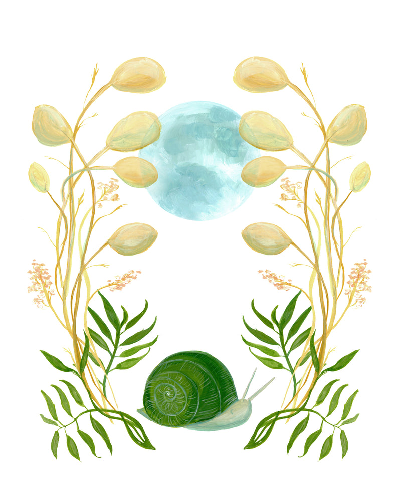 Snail Print