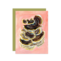 Turkey Tail Mushroom Card