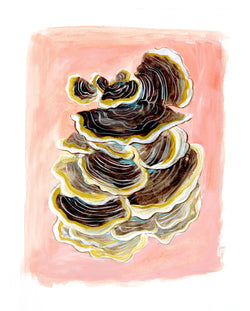 Turkey Tail Mushroom Print
